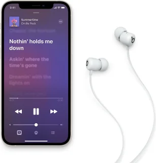 Beats Flex In-Ear Smoke Gray