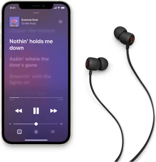 Beats Flex In-Ear Zwart