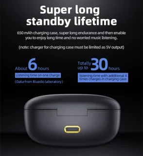 Bluedio P draadloze Bluetooth 5.0 oordopjes