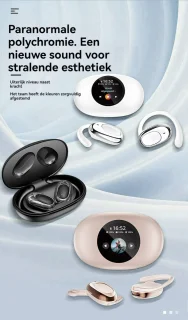 Bluetooth Draadloze Sport Oordopjes met Oorhaak en Laadkast
