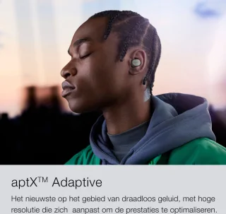 Bowers & Wilkins Pi6 Bluetooth Oordopjes Cloud Grey