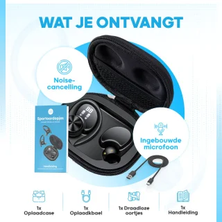 Double MM100 Draadloze Bluetooth Oordopjes