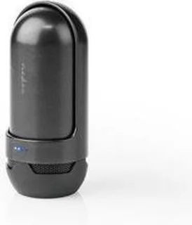 Draadloze Bluetooth Oordopjes met Charging Case