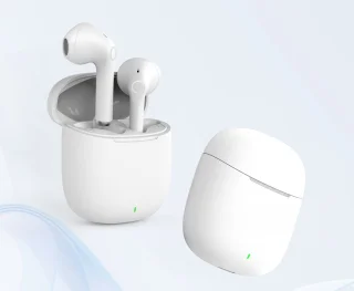 Dutch Design Premium Bluetooth 5.1 EarBuds
