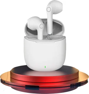 Dutch Design Premium Bluetooth 5.1 EarBuds
