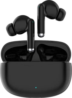 Fairweather Pro Series 5 Draadloze Bluetooth Oordopjes Zwart