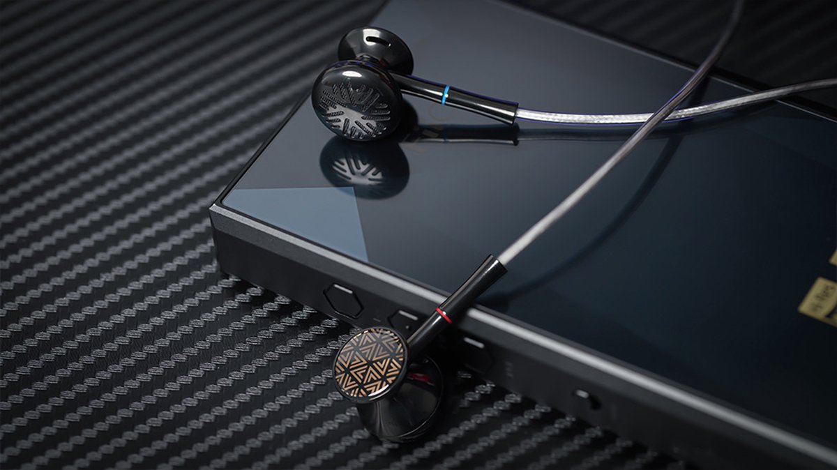 FiIO FF3 Zwarte Oordopjes