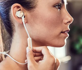 Fitbit Flyer Draadloze Bluetooth Oordopjes Grijs
