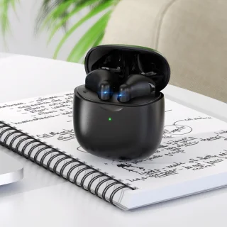 Golden Sound Bluetooth oordopjes zwart