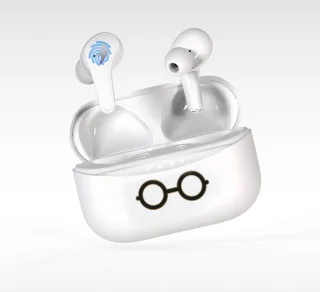 Harry Potter TWS Bluetooth Draadloze Oordopjes Met Oplaadcase