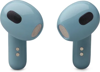 JBL Live Flex 3 Draadloze Oordopjes Blauw
