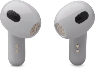 JBL Live Flex 3 Draadloze Oordopjes Zilver