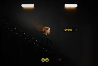 JBL Live Flex 3 Draadloze Oordopjes Zwart