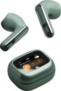 JBL Live Flex 4 draadloze oortjes