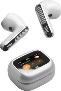 JBL Live Flex 4 Draadloze oortjes Zilver