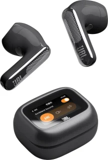 JBL Live Flex 4 Draadloze oortjes - Zwart