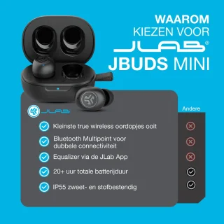 JLab JBuds Mini draadloze oordopjes zwart