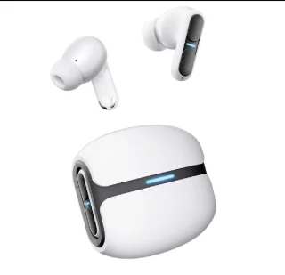 Langsdom THETA PRO Oordopjes