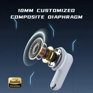 Langsdom THETA PRO Oordopjes