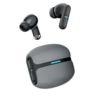 Langsdom THETA PRO Oordopjes