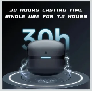 Langsdom THETA PRO Oordopjes