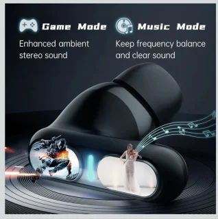 Langsdom THETA PRO Oordopjes