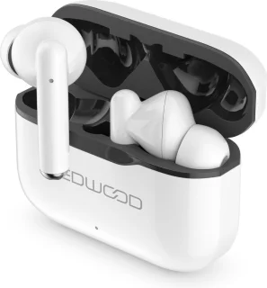 LEDWOOD Capella T06 TWS earphones wit/zwart