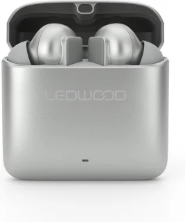 LEDWOOD TITAN S20 TWS in-ear earphones zilver