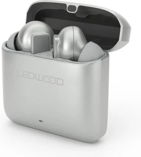 LEDWOOD TITAN S20 TWS in-ear earphones zilver