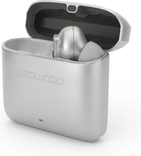 LEDWOOD TITAN S20 TWS in-ear earphones zilver