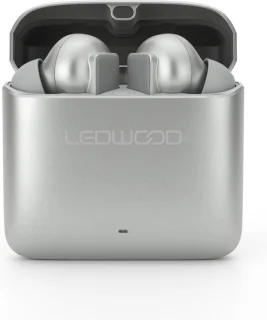 LEDWOOD TITAN S20 TWS in-ear earphones zilver