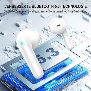 Conclusie