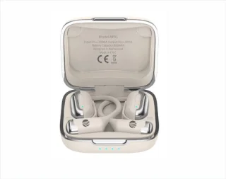 MG-AP05 Earbuds Wit