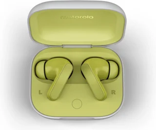Moto Buds Kiwi Green