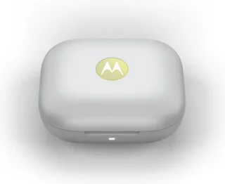 Moto Buds Kiwi Green