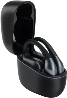 Panasonic RB-F10DE Headset Zwart