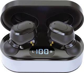 Platinet PM1050B In-ear oordopjes