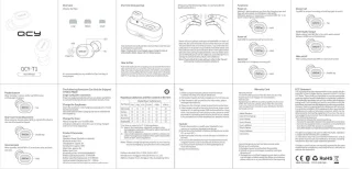 QCY Mini 2 Draadloze In-Ear Oordopjes Zwart