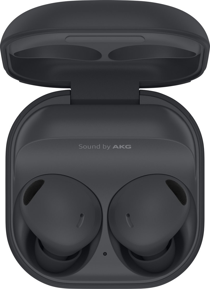 Samsung Galaxy Buds 2 Pro Grijs