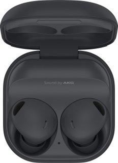 De Samsung Galaxy Buds2 Pro - Draadloze oordopjes - Grijs in één oogopslag