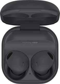 Samsung Galaxy Buds2 Pro - Draadloze oordopjes - Grijs