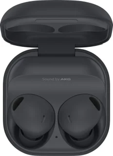 Samsung Galaxy Buds2 Pro - Draadloze oordopjes - Grijs
