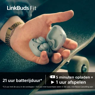 Sony LinkBuds Fit Draadloze Oordopjes Roze