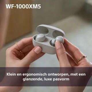 Sony WF-1000XM5 Draadloze Oordopjes Zilver
