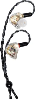 Stagg SPM-PRO TR In Ear Monitor