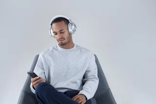 Technics EAH-A800-S Hoofdtelefoon Zilver
