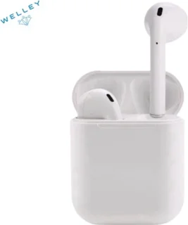 Welley Pro 1 Bluetooth oordopjes in ear met oplaadcase