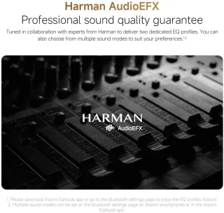 Xiaomi BHR080FGL Headphones