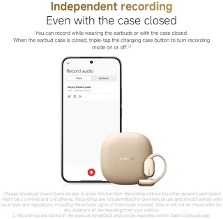 Xiaomi BHR080FGL Headphones