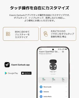 Xiaomi BHR080IGL Headphones Black